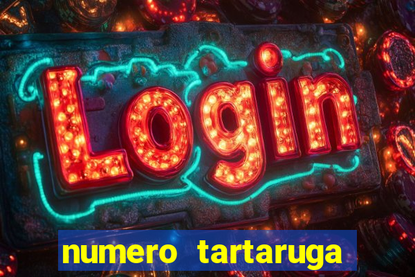 numero tartaruga jogo do bicho